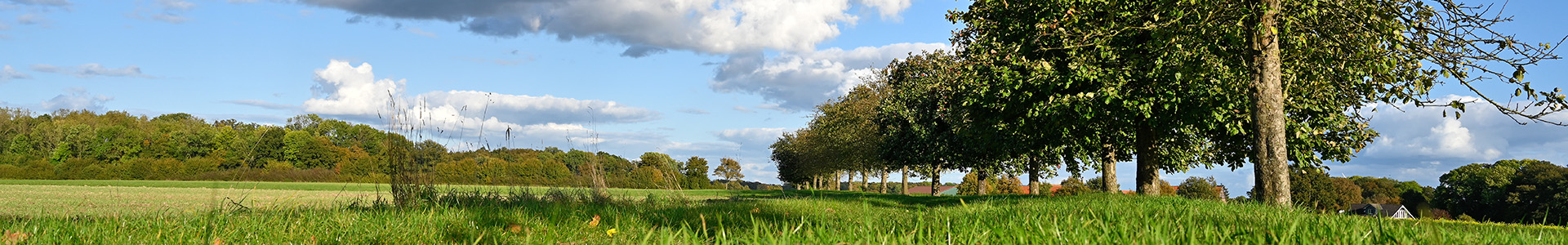 Alverskirchen Toscana