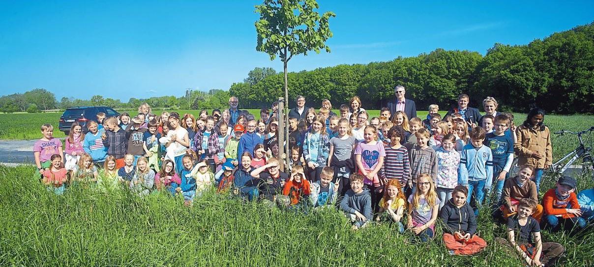 2015 Klassenbaumaktion