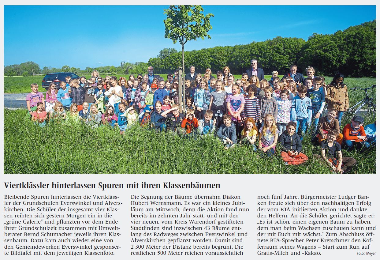 Klassenbaum Artikel