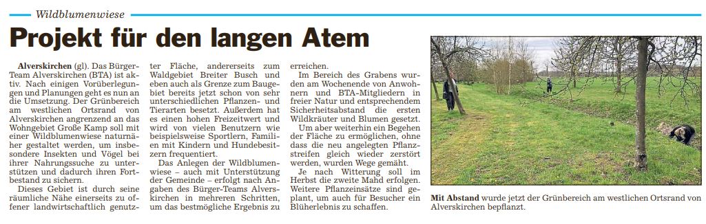 Die Glocke 26.04.   Wildblumenwiese